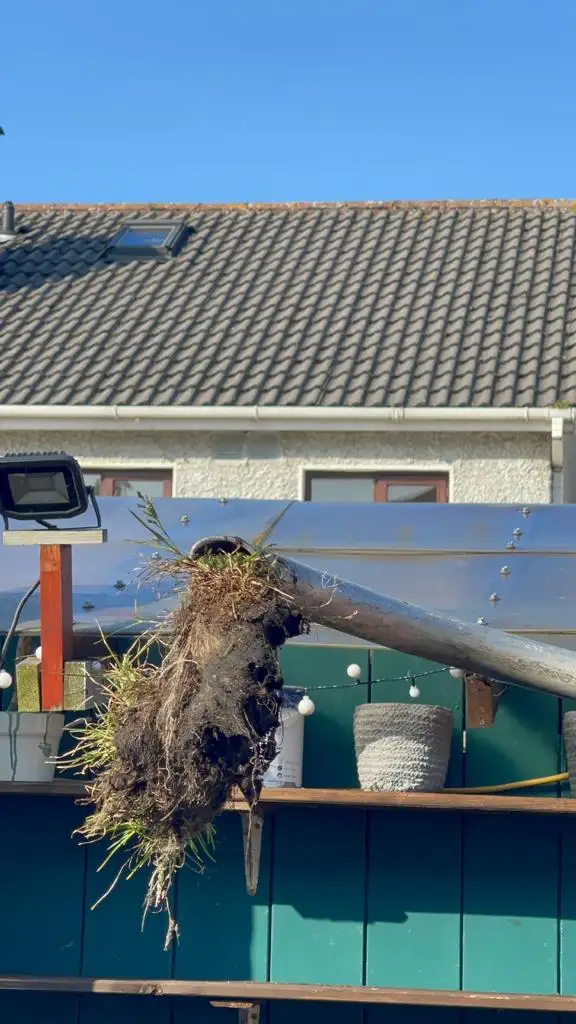 A clump of moss and weeds pulled out of a blocked gutter during gutter cleaning
