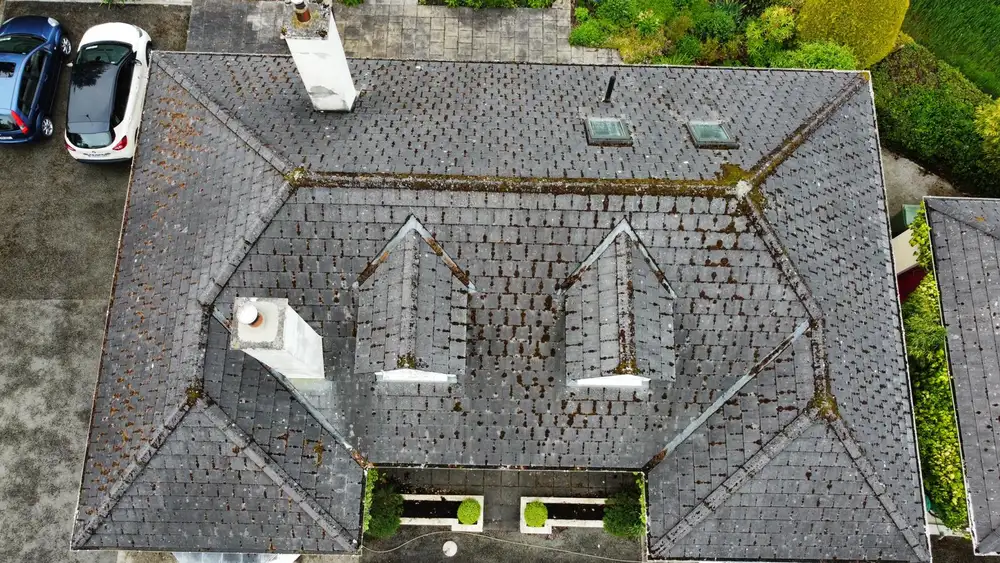 Moss and lichen on a tiled roof before cleaning, seen from above